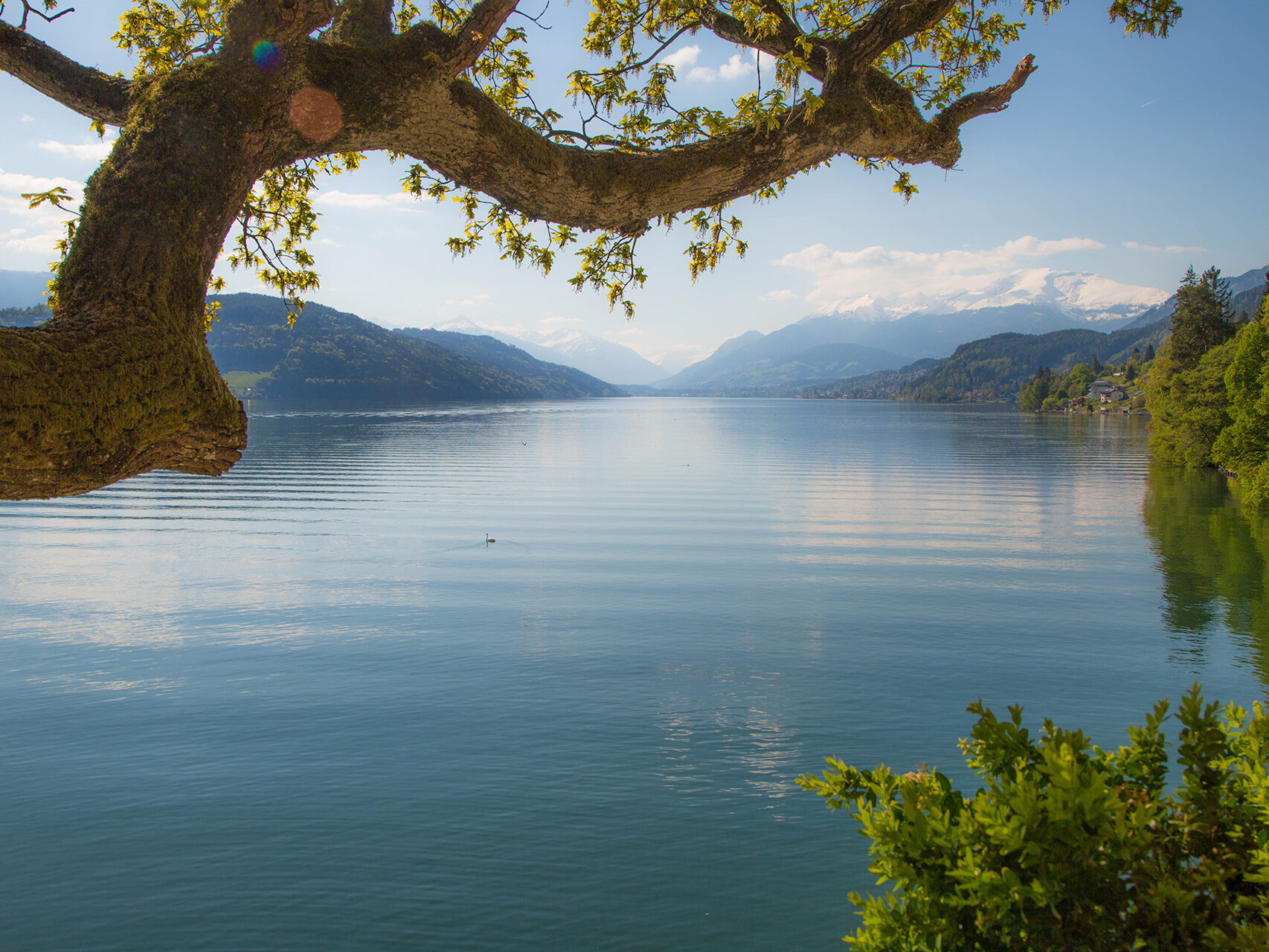 Millstätter See Kärnten / Adobe Stock 323885039